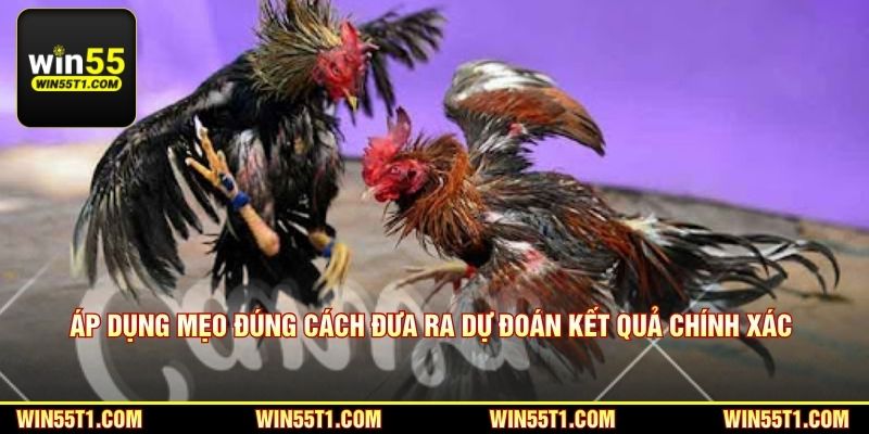 Áp dụng mẹo đúng cách đưa ra dự đoán kết quả chính xác