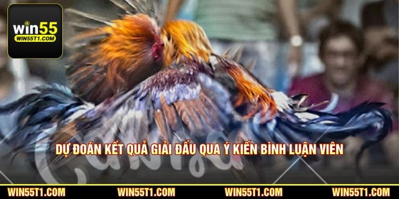 Dự đoán kết quả giải đấu qua ý kiến của bình luận viên